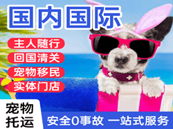 北京首都机场托运国际宠物托运 【国
